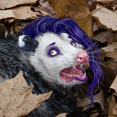 Veraさんのプロフィール画像