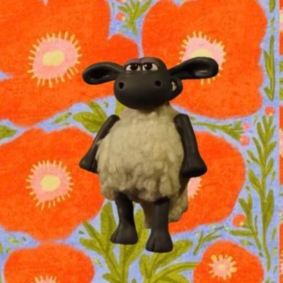 jutarou26's profile picture. age.28 👶🏼/1129💍/🌵🎣🏂🏕🏍ドラッグスター250➰