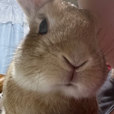 keephop53's profile picture. フロントエンジニアになりたいコーダー初心者です。孫がいるおばあちゃんです。
自信をつけたい！！！

Xはあまり使用していませんが、時々プログラミングや音楽の事を呟きます。