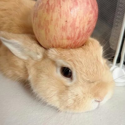 haneuuuuumi's profile picture. 20↑