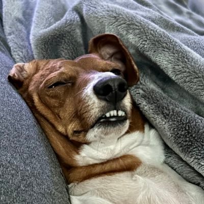 McAfeeeee's profile picture. 