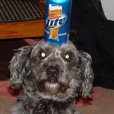 KYLEBAKKER4's profile picture. Benevolent. Humble. Hopeful. Human.