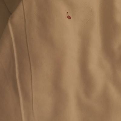 DefenderofPakk's profile picture. 11th account. Previous 10 are suspended. Even 1 of 12 yrs old acnt. Insafian since 1997. Wanna see Pakistan as a model following idea of Riyasat-e-Madina.