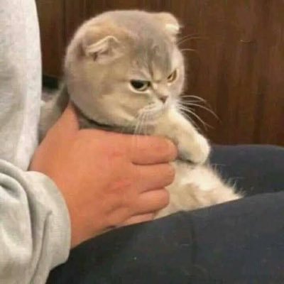 lovekuydek72972's profile picture. หาน้องผู้ชาย วัยรุ่นชายแท้ ที่ต้องการเงินค่าขนม มาเป็นพี่น้องกัน กิน ดื่ม เที่ยว ขอคนไม่เรื่องมาก เจอ จ่าย จบ ง่ายๆแฟร์ๆ 🍌💦