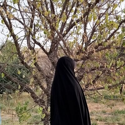 zeynab051's profile picture. 