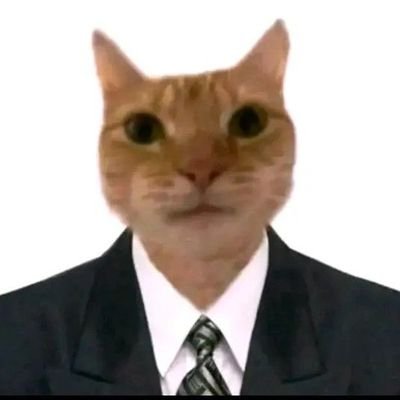 NO SOY DEL 🚂 DE ARAGUA 🐅
FACTOS🤏🏾 MINITEKERO🎧🎛️
CERO SUSTANCIAS🚭 MUSICO Y PLASTA DE MIERDA 💩 MISERABLE😬 PERO FELIZ☺️
AKAPELLAH MELOPELA🥃🔥