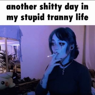 Renaissance, mon ancien compte a sauté
transbian meuf là ⭐
absolute failgirl ⭐
litteraly Mary Kim ⭐
vive les trans et vive la Palestine 🇵🇸
