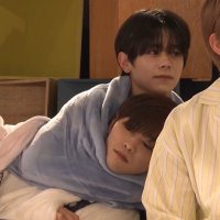 🐶の虜 (@jun81_rin) 's Twitter Profile Photo