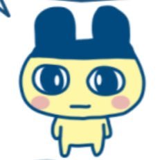 ma_maki__'s profile picture. ポーカー / 仮想通貨 / 医者