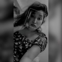 sudhapenumaka25 (@sudhapenumaka25) 's Twitter Profile