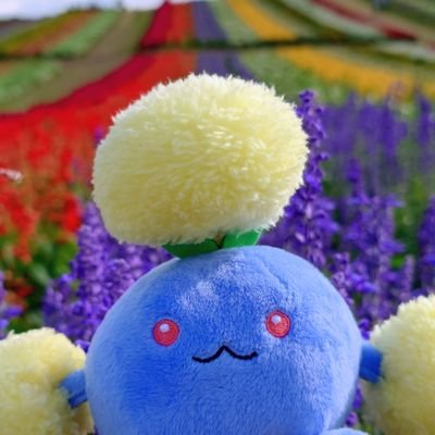 木ノ耳🍠さんのプロフィール画像