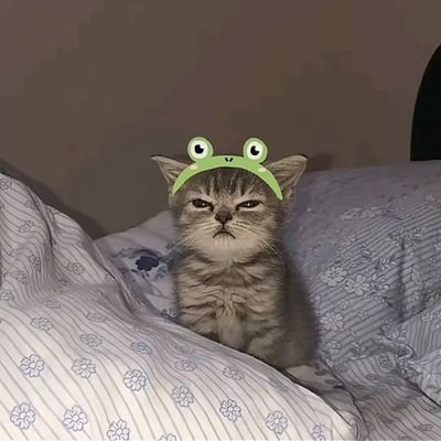 BawzyyRanja's profile picture. R_A_N_J_A🫠