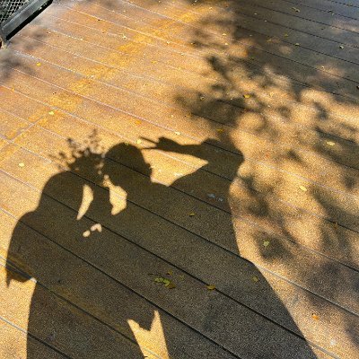 wortelmelon_'s profile picture. aku langit dan hujannya