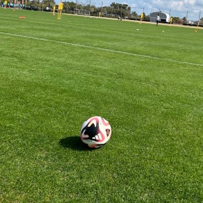 seoyeyo's profile picture. ⚽️🐎🏎️