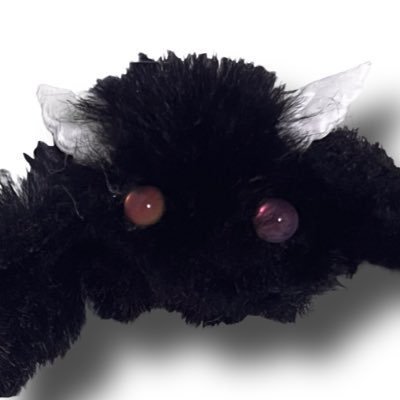 wellenami's profile picture. 