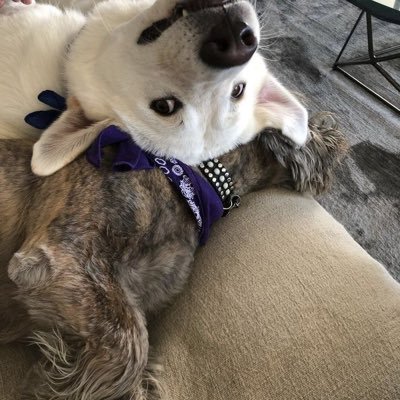 AnistonJen37689's profile picture. 