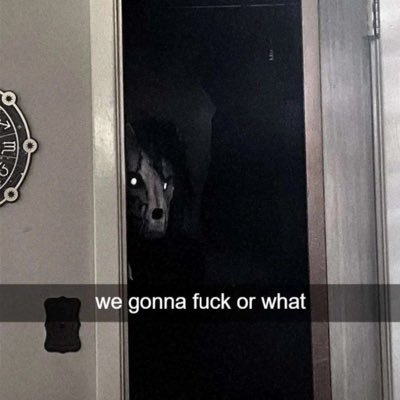 Jeeijeii's profile picture. Escuchando Mago de öz con el amor de mi vida (mi almohada) -- cdm twt, Lysandro my beloved -- Eng/Esp