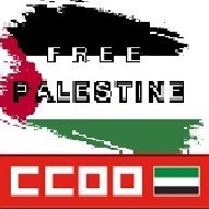 fssccooextre's profile picture. FSS CCOO SANIDAD