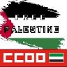 fssccooextre's profile picture. FSS CCOO SANIDAD