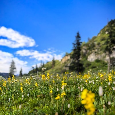 kevinlook1234's profile picture. 