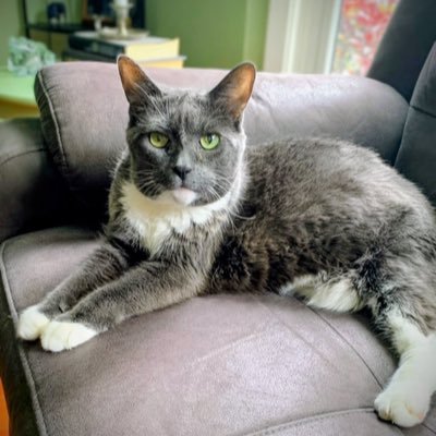 cutanec2130's profile picture. 