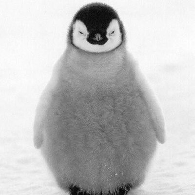 kappa7457241's profile picture. 