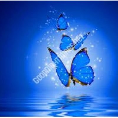 jresvsi's profile picture. 