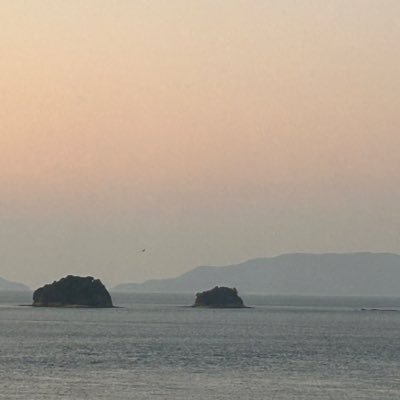 mizusumasisumas's profile picture. 情報収集用のつもりでリツイートばかりです。ときたま呟きます。氷河期世代で、働く母ちゃんです。