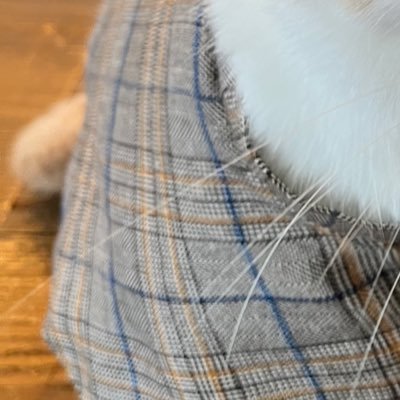 Ndfe666's profile picture. 【ゲーム・アニメ】前垢(ちくわ)にログインできなくなった為、作りました。色々なゲームやってます🫶