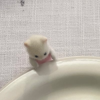 shiro_celvoke's profile picture. 社会人3年生日記