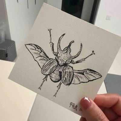 📍台湾出身🌏
🦋 昆虫標本の世界が大好きです。
色とりどりの翅や生命の軌跡に心を奪われます✨
#ヘラクレスオオカブト #オオクワガタ #昆虫飼育 #昆虫コレクション #ギラファノコギリクワガタ #珍品昆虫 #昆虫フェア #昆虫オークション #昆虫好きな人と繋がりたい