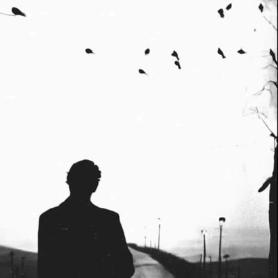 Riyad51030644's profile picture. تُنسى كأنك لم تكن ...Hiç olmamışsın gibi unutulacaksin