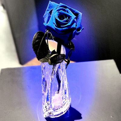 @PoPo_admn
