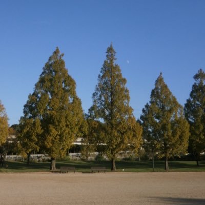 pShBvkEE0e25116's profile picture. ビールごくごく