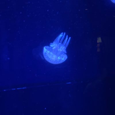 afi22333's profile picture. 