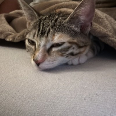 CindyH64422's profile picture. 