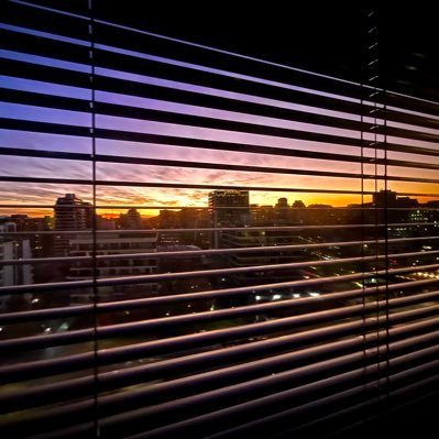 tcamposm82's profile picture. 