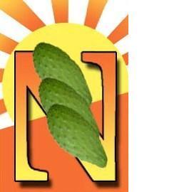 Founder of Nopaltilla,The Healthy Green Cactus Tortilla,Entrepeneur, Restaurateur,Diabetes Advisor and Medical Physicist Specialized in Cancer Radiation Therapy