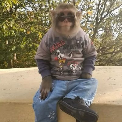 Medinajohn444's profile picture. 