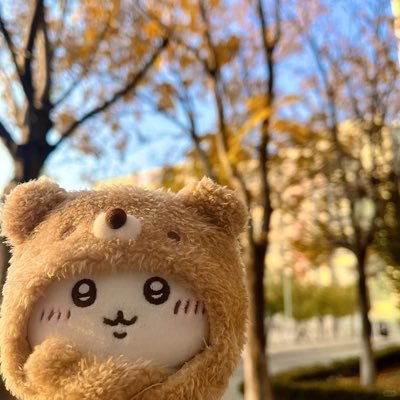 333wanwan_'s profile picture. Intra tu vulnera absconde me ♱⃓