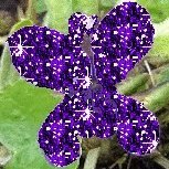 fizzyviolet86's profile picture. 🥂✨🍇🌺