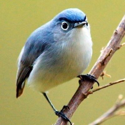 rudeandspicy's profile picture. 