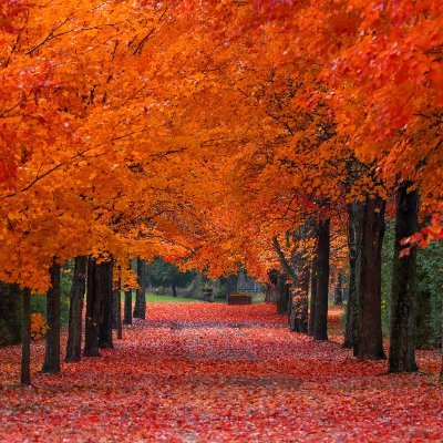 Hazem9112's profile picture.