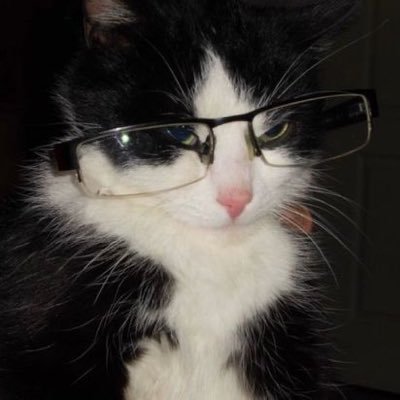 elfangg_'s profile picture. my honest space | days without feeling nauseous: zero