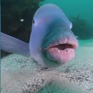 s0meon3probab13's profile picture. 