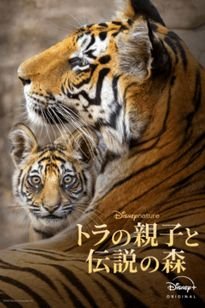 mohamadslamet4's profile picture. やあ！
残り物には福がある