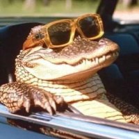 Anlıyorum Hayatım (@hermit_boomer) Twitter profile photo