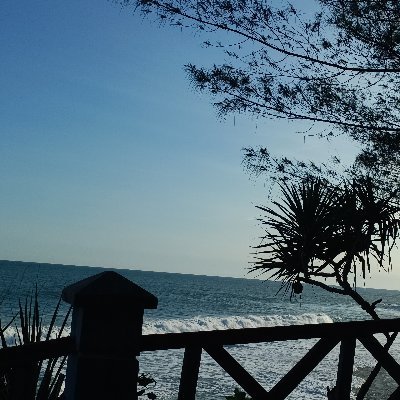 dimasags2's profile picture. 