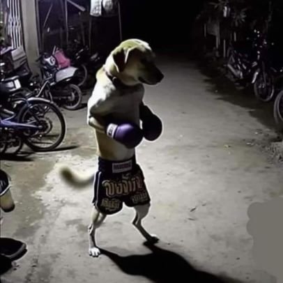 woop_slap's profile picture. i'm new here, pls be nice