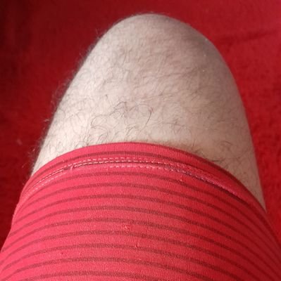 aqui bolsominion é bloqueado: 🚫 👍
Flamengo:🚩🏴
outubro 🎂